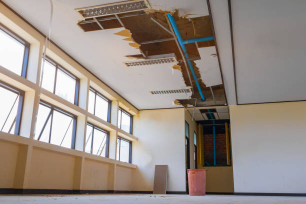 Best Flood restoration services  in Morrisville, NY