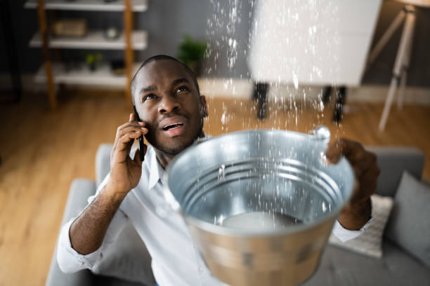 Best Sewage cleanup and water damage restoration  in Morrisville, NY