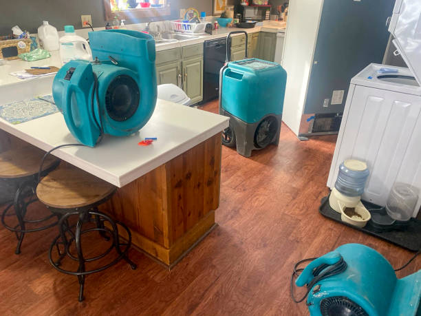 Best Professional water damage repair  in Morrisville, NY