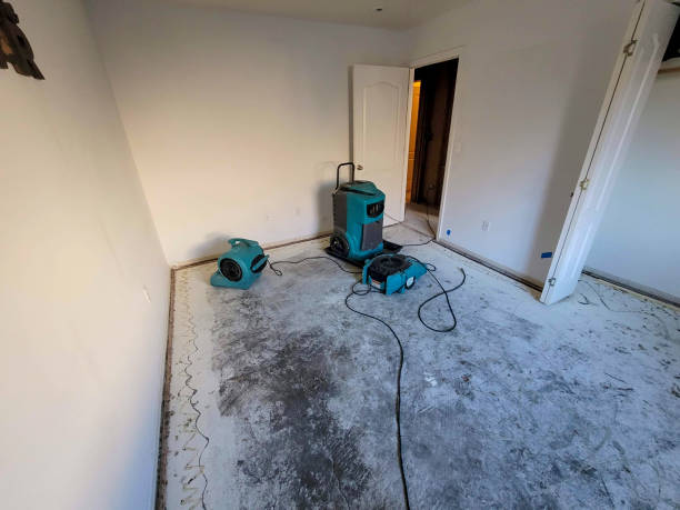 Best 24-hour water damage restoration  in Morrisville, NY