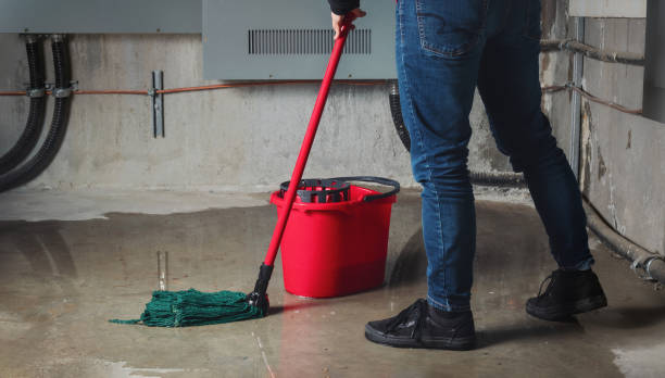 Best Ceiling water damage repair  in Morrisville, NY