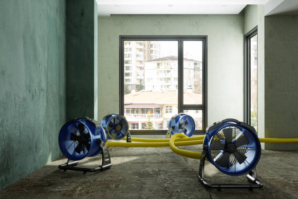 Best Residential water damage restoration  in Morrisville, NY
