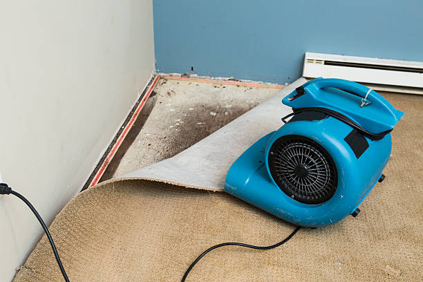 Best 24-hour water damage restoration  in Morrisville, NY